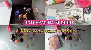 Современная брошь, История одного украшения/Моя коллекция брошей