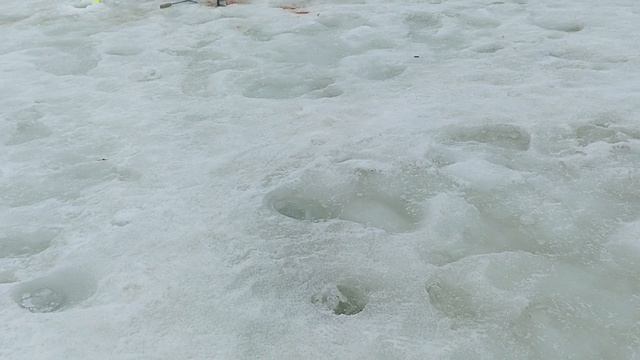 1000095593.mp4 смотреть онлайн