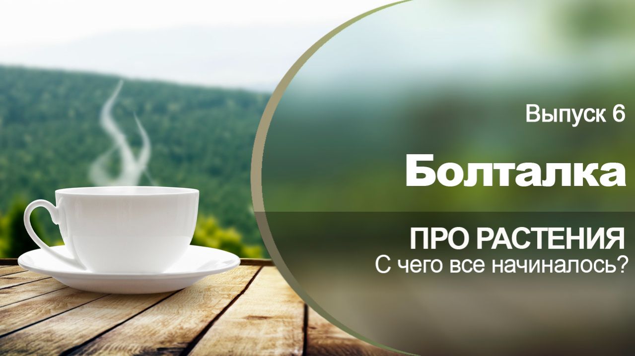 Болталка 6. Про растения. Как я пришла к цветонутой жизни.