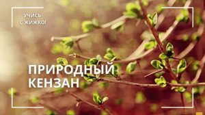 Урок: Природный кензан от Натальи Жижко