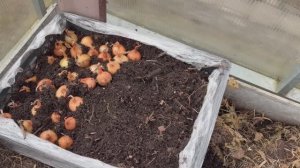 Будет ранняя зелень.