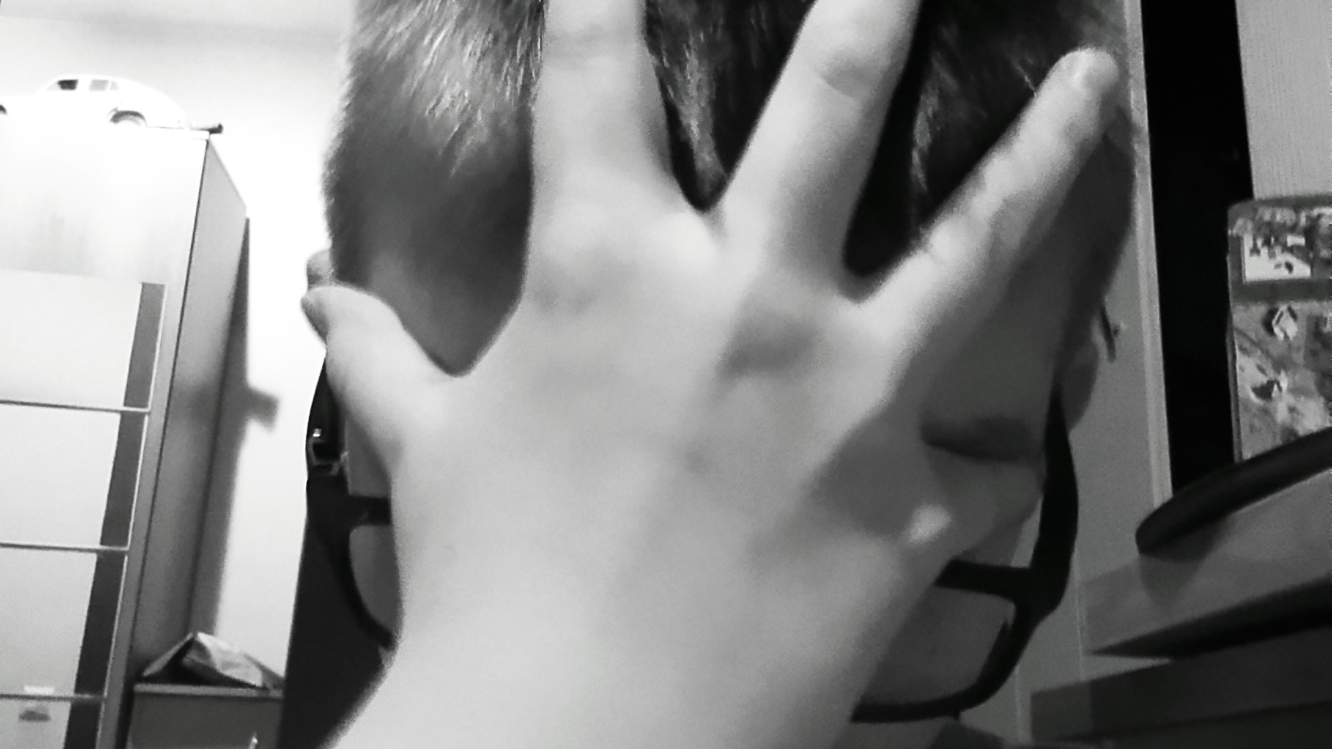 часть видео с стрима Санька геймс