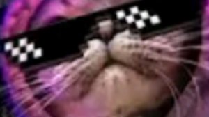 Моя лично созданная песня "What's on my mind?"