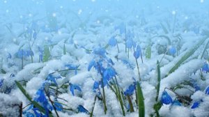 Футаж. Весеннее настроение 6