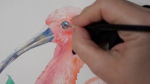 АКВАРЕЛЬНЫЕ ГЛАЗА. Советы и техники