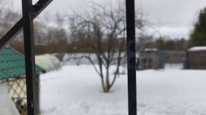 Съездили на дачу, немного расстроились.