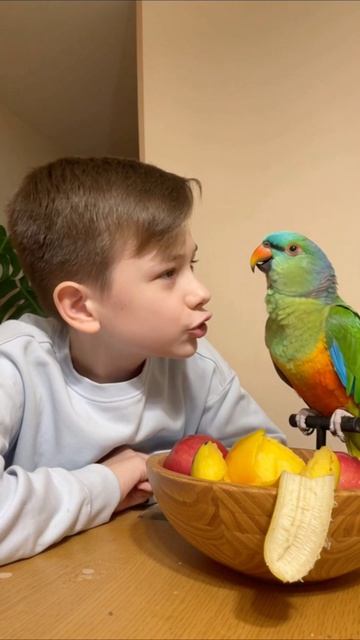 Спорю с попугаем, какой фрукт лучше! А какой выберешь ты? #matt_in_trend #шутка #юмор #фрукты