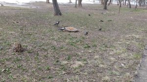 21 марта ждите солнце 🌞