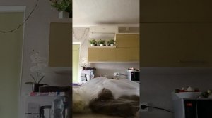 РАСПАКОВКА ✌️ ЧЕЕЕК ✌️ ЧО КУПИЛИ 🛍️