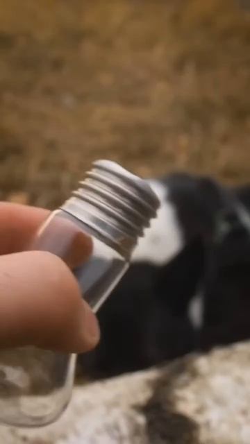 ЛАЙФХАК НА ПРИРОДЕ