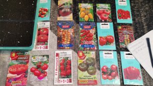 Сею томаты на рассаду 21 марта! Много классных помидор для отличного урожая!