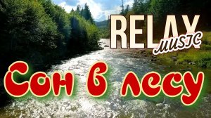 🎵 RELAX I КОГДА ЛЕС УСПОКАИВАЕТ — РУЧЕЙ, ПТИЦЫ И РЕЛАКС МУЗЫКА ДЛЯ СНА И ВОССТАНОВЛЕНИЯ ЭНЕРГИИ