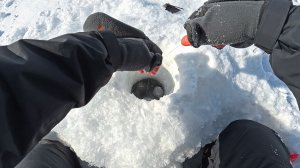 Зимняя рыбалка на озере у дороги. КРУПНАЯ РЫБА вышла на мель! Мормышка. Жерлицы. Счастье!