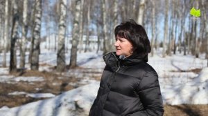 «Этот лесок сажал ещё мой отец, будучи школьником» - жители за сохранение Молодого леска в виде леса