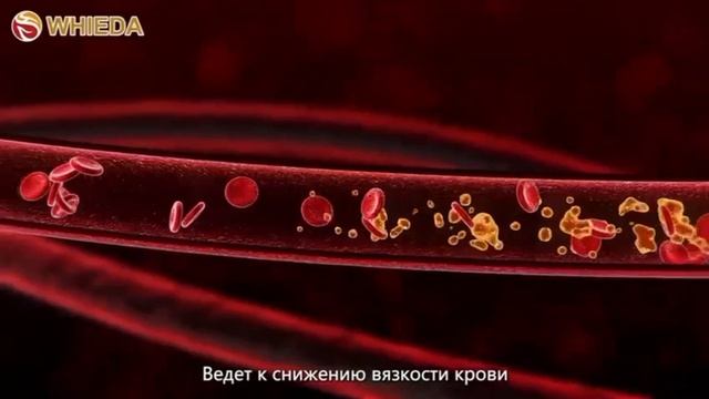 WHIEDA Биоэнергомассажер Magic Foherb