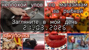 Загляните в мой день//по магазинам за рыбкой//неплохой улов