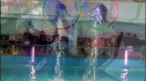 Мой город - мои Челны - 2026 испр