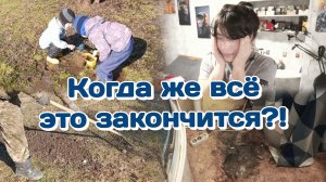 Мне стало плохо от новости/Гуляем и рассказываю о том что произошло (март)