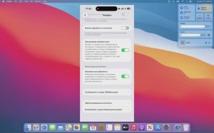 КАК ЗАБЛОКИРОВАТЬ ЗВОНКИ с неизвестных и скрытых номеров на iphone🍏