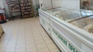 21.03.26. Едем в ветклинику. В Находке. Готовлю постный ужин. Выпускаем на волю.