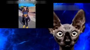 Кот Костян о "единых" народах