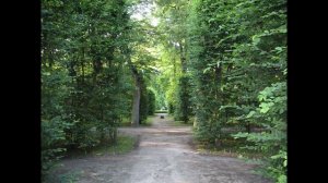 Nieborów  29.07.2009