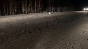 Не обычный случай на трассе в Якутии