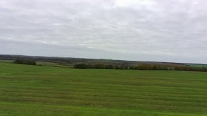 Непонятно о Куликовской битве