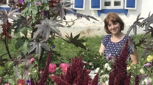 В деревню на дачу в выходной 09.04.23