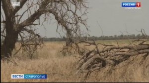 На коллегии минприроды Ставрополья подвели итоги и поставили задачи