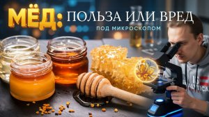 Кровь под микроскопом после мёда