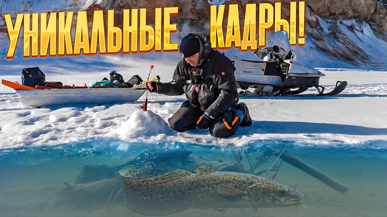 Нарвался на крупняк! Налим атакует мормышку! Рыбалка на комбайны удалась - лещ, судак, окунь, налим!