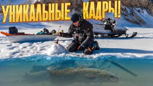 Нарвался на крупняк! Налим атакует мормышку! Рыбалка на комбайны удалась - лещ, судак, окунь, налим!