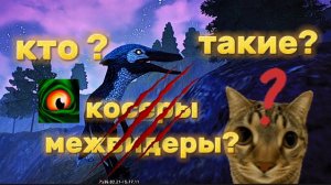 кто такие косеры и межвидеры?