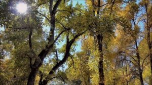 Главная ошибка весны. Как не потерять шанс разбогатеть.