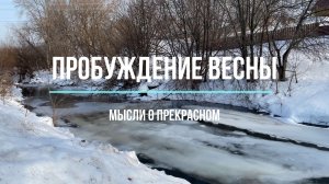 Пробуждение весны Мысли о прекрасном