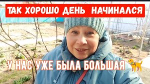 206🏡День так хорошо начинался/Покупки/Требует много внимания/Я все таки их подкормила