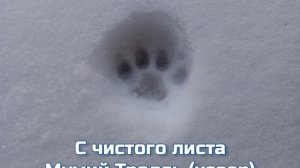 С чистого листа - Мумий Тролль (кавер)