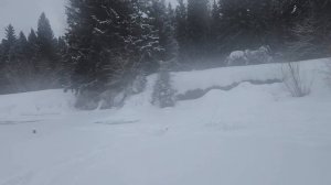 Открыл купальный сезон в реке Тюхтет. Закрыл рыбалку по "твёрдой воде".