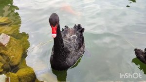 отель "Ялта-Интурист"