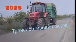 Перевозка пшеницы. КамАЗы, мтз1523,1221.