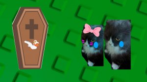 Мы хроним в укради браинрот