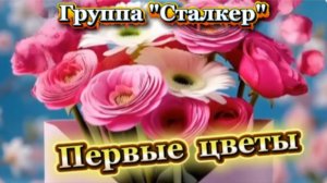 Первые цветы! Группа Сталкер