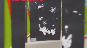 ожидания & реальность