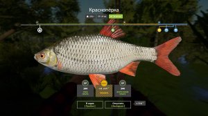 Играем в Russian Fishing 4 продолжаем ловить плотву,краснопёрку,тарань и другую рыбку на р.Донец.