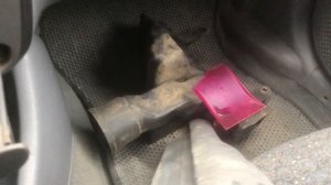 Гонка без проблем