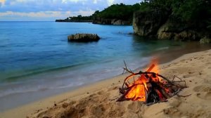 Frederic Chopin. Piano concerto No 1 in E minor Op 11 Romance (Larghetto)