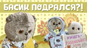 БАСИК ПОВРЕДИЛ ЛАПКУ 😓| Влог с Басиками