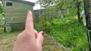 46-Дача..новая косилка..косим и наслаждаемся😁19.06.22.