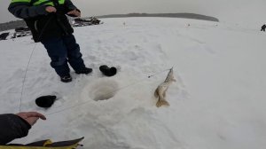 Северная Сосьва. Март 2026г. Ч.1